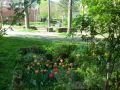 GartenAG 11