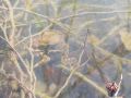 IMG 3385